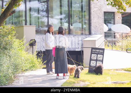 Ein koreanischer Mann und eine Japanerin, beide im Alter von 30 Jahren und ein verheiratetes Paar, genießen in einem stilvollen Café im Herbst einen Brunch mit drei Hunden Stockfoto