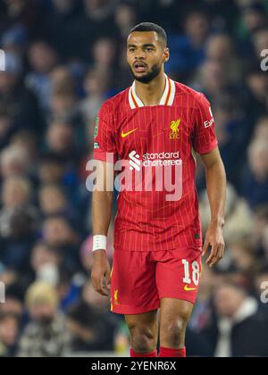 Brighton, Großbritannien. September 2024. Brighton, England - Oktober 30: Cody Gakpo von Liverpool während des Carabao Cup 2024/25 Spiels zwischen Brighton & Hove Albion FC und Liverpool FC im Amex Stadium am 30. Oktober 2024 in Brighton, England. (David Horton/SPP) Credit: SPP Sport Press Photo. /Alamy Live News Stockfoto