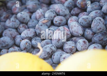 Frische, reife Pflaumen werden in einem rustikalen und charmanten Korb auf dem geschäftigen Markt präsentiert Stockfoto
