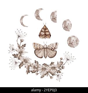Gräser, Mondphasen, Schmetterlinge in Braun- und Beigetönen Aquarellillustration. Kosmischer Körper isoliert vom Hintergrund. Astrologie der Mondphasen. De Stockfoto