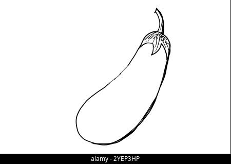 Auberginen zeichnen kontinuierliche einzeilige Auberginen zeichnen. Abbildung. Schwarze Strichgrafik auf weißem Hintergrund. Cartoon Aubergine isoliert auf weißem Hintergrund Stockfoto