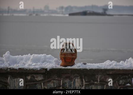 In Srinagar, der Sommerhauptstadt des indischen Kaschmirs, fällt am 4. Januar 2019 starker Schnee. Der starke Schnee begann am Nachmittag in Srinagar und innerhalb einer halben Stunde war die Stadt von einer weißen Schneedecke bedeckt, die das normale Leben störte und es schwierig machte, sich in verschiedenen Teilen der Stadt zu bewegen. Der starke Schneefall betraf auch mehrere Ebenen und hügelige Gebiete des Kaschmir-Tals und störte den Luft- und Straßenverkehr mit der Annullierung mehrerer Flüge am Flughafen Srinagar sowie der Sperrung der Autobahn Srinagar-Jammu Stockfoto