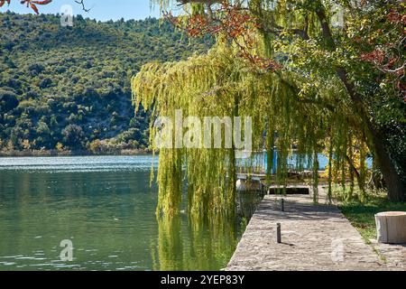 Eine weinende Weide, die ihre langen, anmutigen Äste über das ruhige Wasser der Insel Visovac im kroatischen Krka-Nationalpark zieht. Der Stift Stockfoto