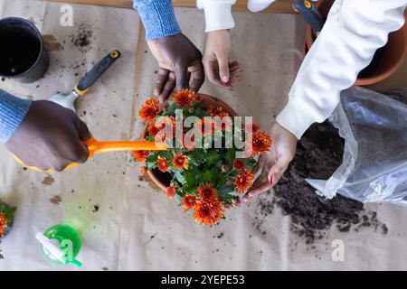 Sie pflanzt zusammen leuchtende Blumen, ein multirassisches Paar pflegt den Garten mit Sorgfalt. Gartenbau, Vielfalt, Zusammenarbeit, Teamarbeit, Gartenbau, Natur Stockfoto