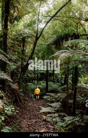 Ein Kind läuft auf einem Farnpfad im neuseeländischen Wald Stockfoto