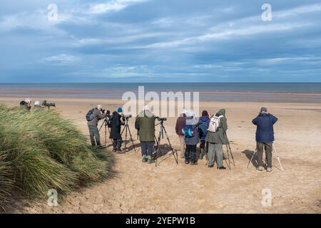 Vogelbeobachter oder Vogelbeobachter im RSPB Titchwell Marsh Naturreservat Strand und Meeresbeobachtung, auf der Suche nach Vögeln am Meer, North Norfolk, England, Großbritannien Stockfoto