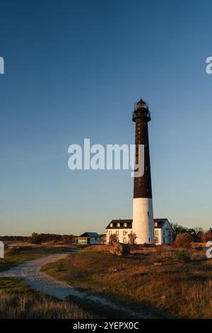 Pfad zum Leuchtturm von Sõrve bei Sonnenuntergang Stockfoto