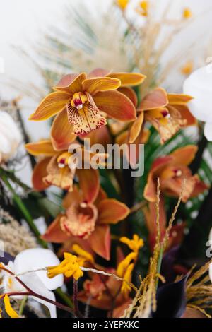 Wunderschönes Arrangement Mit Gebrannten Orangen-Orchideen Stockfoto