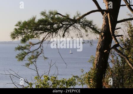 Blick von der Halbinsel Gnitz, September, Usedom, Mecklenburg-Vorpommern, Deutschland, Europa Stockfoto