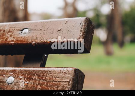 Nasse Bank im Park im Regen. Regnerisches Wetter. Holzstuhl im Regen. Nasse urbane Möbel. Regentropfen auf Holzbank. Park Herbst Konzept Stockfoto