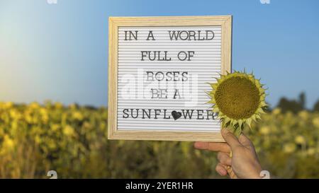 IN Einer WELT VOLLER ROSEN IST Ein SONNENBLUMENTEXT auf weißem Tafel neben dem Sonnenblumenfeld. Inspirierendes Zitat zur Motivationsunterschrift. Geben Sie einen eindeutigen Spruch Stockfoto