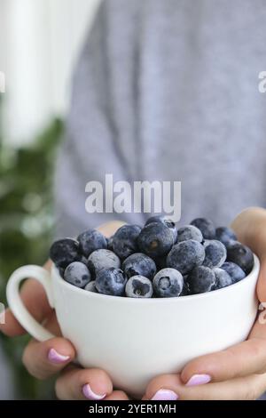 Frau hält eine Schüssel mit gefrorenen Heidelbeerfrüchten. Erntekonzept. Weibliche Hände sammeln Beeren. Gesunde Ernährung Konzept. Auffüllen von Beeren für Stockfoto