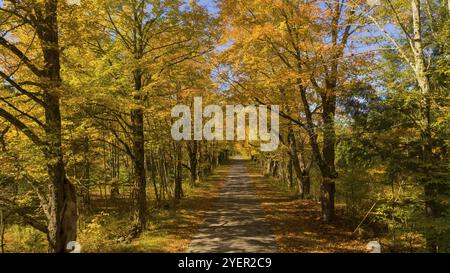 Desolate Land straße hat Blätter im Herbst Jahreszeit fallen, New York Stockfoto