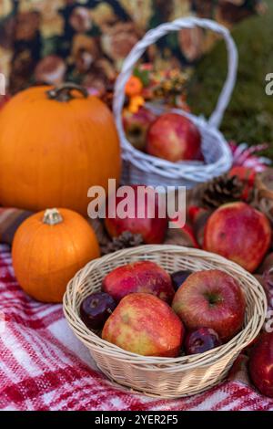 Herbstpicknick in der Natur mit Äpfeln. Äpfel und Kürbisse auf einer Decke in der Natur. Hochwertige Fotos Stockfoto