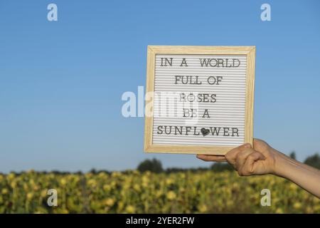 IN Einer WELT VOLLER ROSEN IST Ein SONNENBLUMENTEXT auf weißem Tafel neben dem Sonnenblumenfeld. Sonniger Sommertag. Inspirierendes Zitat zur Motivationsunterschrift. Nicht Stockfoto