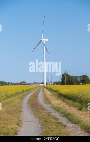 Windkraftanlage auf grasbewachsenem gelbem Feld vor bewölktem blauem Himmel im ländlichen Raum bei Sonnenuntergang. Windmühlenpark vor der Küste mit stürmischen Wolken in Ackerland Polen Stockfoto