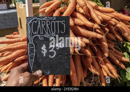 Handgeschriebenes Tafelschild mit dem Preis für leuchtend orange Karotten auf dem Bauernmarkt. Echtes, echtes Essen vom Land, zum Verkauf Stockfoto