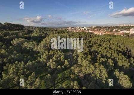 Madrids Stadtbild aus der vogelperspektive von casa de campo Stockfoto