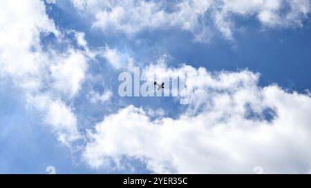 Flugzeug fliegt im blauen Himmel auf dem Hintergrund der weißen Wolken, Rückansicht. Zweimotoriges Verkehrsflugzeug während des Turn-, Urlaubs- und Reisekonzepts. S Stockfoto