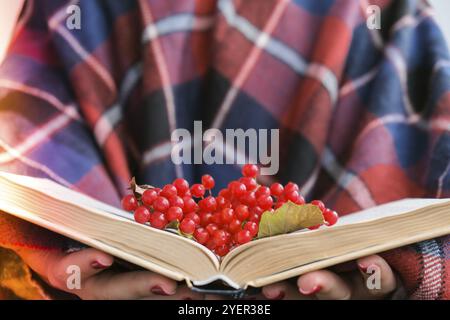 Stylische rote Frauennägel. Hände halten rote Johannisbeeren und Buch lesen. Moderne, wunderschöne Maniküre. Herbst Winter Nagel Design Konzept der Beauty-Behandlungen Stockfoto