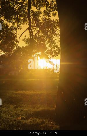 Starker Regen und Sonnenlicht neben dem Baum. Atemberaubende Aussicht auf die Regenzeit der Stadt. Sonnenuntergang bei Regenwetter. Herbststimmung Stockfoto