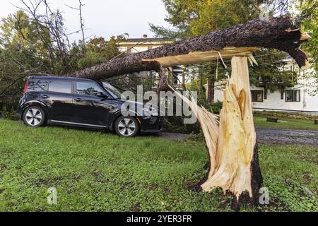 Ein abgeschnittener Baum liegt auf einem beschädigten Familienauto in der Einfahrt, nachdem ein schwerer Sturm Tornado-Wind in ein kleines Dorf bringt. Mit Kopierraum Stockfoto