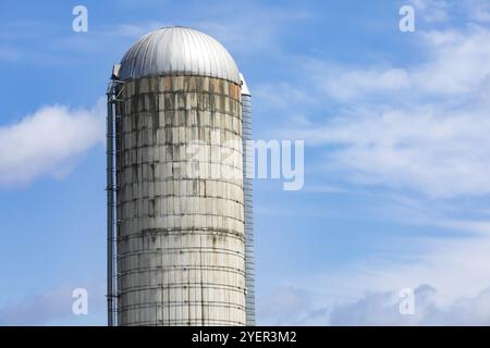 Details eines älteren konkrete Daube grain tower Silo, Lagerung von Weizen, Reis und Getreide in einer agrarischen Farm gegen einen blauen Himmel mit Kopie Raum nach rechts Stockfoto