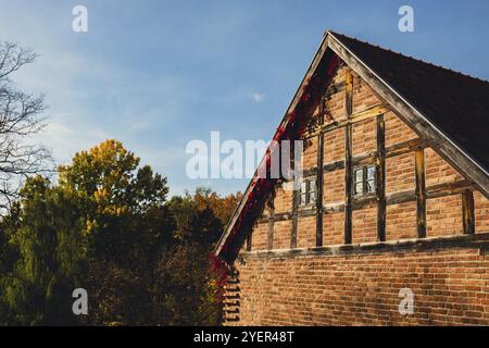 Herbstfenster in alten Backsteinmauern mit roten Blättern. Herbstatmosphäre am Sonnentag. Ästhetisches Haus Stockfoto