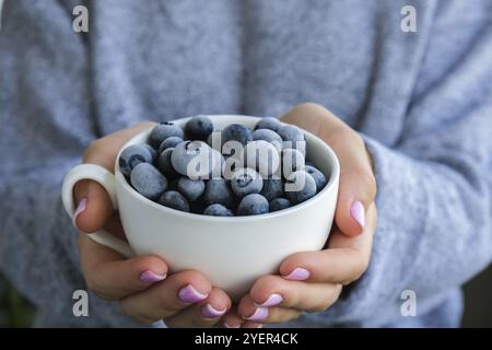 Frau hält eine Schüssel mit gefrorenen Heidelbeerfrüchten. Erntekonzept. Weibliche Hände sammeln Beeren. Gesunde Ernährung Konzept. Auffüllen von Beeren für Stockfoto