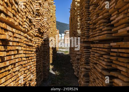 Stapel von dünnen hergestellt Holzbohlen eine enge Gasse im Hof eines Sägewerkes zu erstellen. Endlose Stapel von natürlichen Baustoffen unter einem blauen Himmel Stockfoto