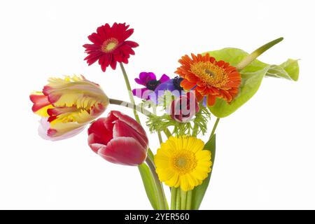 Ikebana in Vase Stockfoto