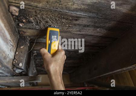 Eine Nahaufnahme eines Home Inspector bei der Arbeit in einem Wohngebiet Keller, Bewertung von Anzeichen für strukturelle Mängel wie Holz verrotten und Feuchtigkeit, mit kopieren Stockfoto