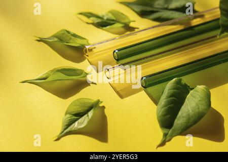 Wiederverwendbare Strohhalme aus Glas auf farbenfrohem Hintergrund mit grünen Blättern umweltfreundliches Strohhalm-Set Wiederverwendbares, komfortables, abgerundetes Trinkhalm. Null wa Stockfoto