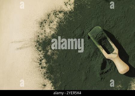 Natürliches Bio-Grünalgenpulver im Holzlöffel auf neutralem Hintergrund. Chlorella Seetang vegane Superfood Ergänzung Quelle und Detox. Cop Stockfoto