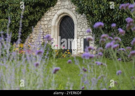 Weinkeller aus Steinen mit violetten Blüten im Vordergrund im Schloss Wawel in Krakau, Polen. Altes Tor im botanischen Garten. Blühen im Blumenbeet A Stockfoto