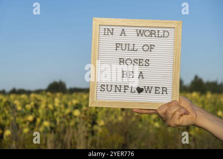 IN Einer WELT VOLLER ROSEN IST Ein SONNENBLUMENTEXT auf weißem Tafel neben dem Sonnenblumenfeld. Sonniger Sommertag. Inspirierendes Zitat zur Motivationsunterschrift. Nicht Stockfoto