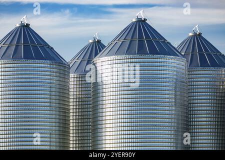 Modern und sauber losem Getreide Silos werden auf einem großen Bauernhof in Alberta, Kanada gesehen. Vorratshaltung von Getreide, Getreide, Weizen, Mais, Reis in Metall Towers Stockfoto