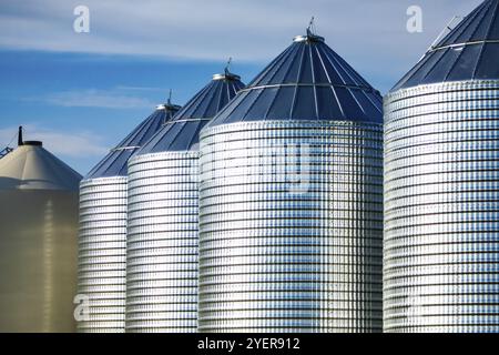 Groß, Stahl Zylinder Türme sind auf ein Korn und Getreide Farm in Saskatchewan, Kanada gesehen. Silos essen Körner in einem landwirtschaftlichen Betrieb zu horten, Stockfoto