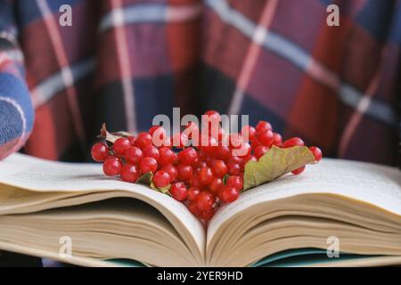 Stylische rote Frauennägel. Hände halten rote Johannisbeeren und Buch lesen. Moderne, wunderschöne Maniküre. Herbst Winter Nagel Design Konzept der Beauty-Behandlungen Stockfoto