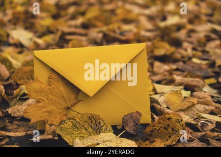 Leerer gelber Umschlag um bunte herbstliche Blätter herum. Vorlagenkarte. Goldene Baumblätter. Schöner Baum mit gelben Blättern im Herbst Stockfoto