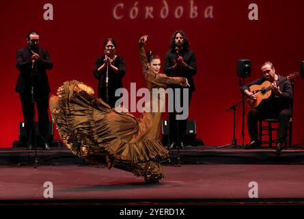 Córdoba, 21.11.2022. Letzte Phase des Córdoba Flamenco-Kunstwettbewerbs im Gran Teatro. Lucía Fernández González, Lucía «La Bronce», während ihres Auftritts. Foto: Valerio Merino. ARCHCOR. Quelle: Album / Archivo ABC / Valerio Merino Stockfoto