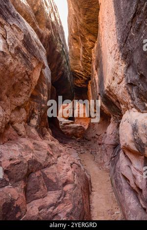 Atemberaubendes Bild des Joint Trail Slot Canyons im Canyonlands National Park von Utah mit zerklüfteten roten Felsformationen und der schmalen Tunneldurchfahrt Stockfoto
