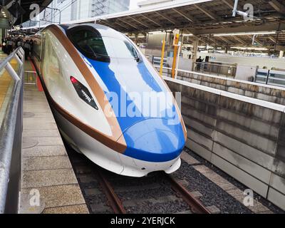 TOKIO, JAPAN - 29. Oktober 2024: Ein shinkansen-Hochgeschwindigkeitszug der E7-Serie am Bahnhof Tokio. Stockfoto