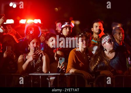 New York, USA. 31. Oktober 2024. Man sieht die 51. Village Halloween Parade in New York, USA, am 31. Oktober 2024. Quelle: Li Rui/Xinhua/Alamy Live News Stockfoto