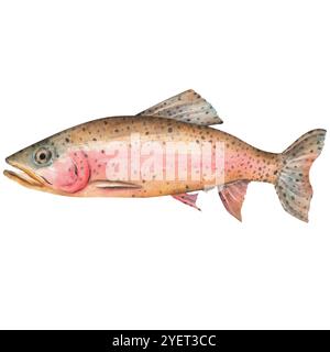 Regenbogenforellen. Angelclipart. Süßwasserforelle. Handgezeichnete Aquarellillustration. Stockfoto