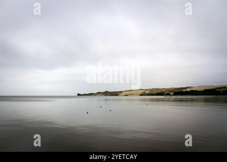 Landschaft am Kurischen Lagune an einem düsteren Tag Stockfoto