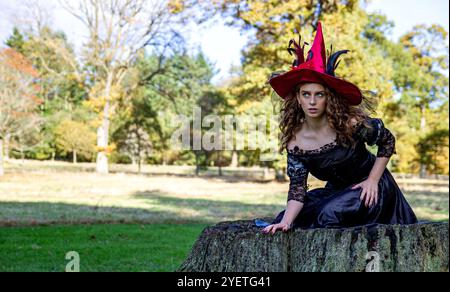 Eine Hexe in einem langen schwarzen Kleid und einem Hexenhut sitzt im Wald des Parks, geschützt vor der rauen Herbstsonne, Schottland Stockfoto