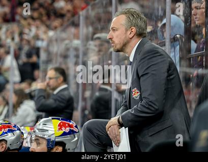 Max Kaltenhauser (Chef-Trainer / Interims-Trainer, EHC Red Bull München). GER, EHC Red Bull Muenchen vs. Koelner Haie, Eishockey, DEL, 14. Spieltag, Saison 2024/2025, 01.11.2024. Foto: Eibner-Pressefoto/Heike Feiner Stockfoto