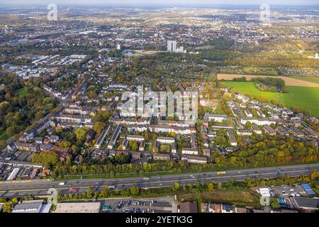 Luftbild, Ortsansicht Wohngebiet Baukau mit Autobahn A42, Grundschule Ohmstraße mit Baustelle Quartierpark Nordstraße im Fortuna Park, hinten der Stadthafen Recklinghausen, Baukau, Herne, Ruhrgebiet, Nordrhein-Westfalen, Deutschland ACHTUNGxMINDESTHONORARx60xEURO *** Luftsicht, Ortsansicht Wohngebiet Baukau mit Autobahn A42, Grundschule Ohmstraße mit Baustelle Quartierpark Nordstraße im Fortuna Park, hinter dem Stadthafen Recklinghausen, Baukau, Herne, Ruhrgebiet, Nordrhein-Westfalen, Deutschland ACHTUNGxMINDESTHONORARx60xEURO Stockfoto