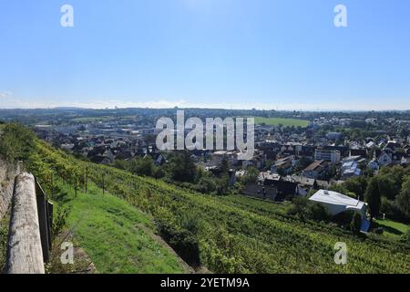 Blick über die Weinberge bis zur Stadt Asperg im Strohgäu Stockfoto